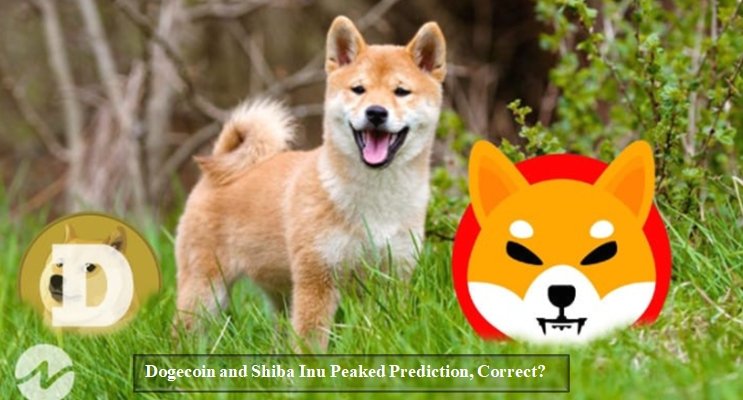 Dogecoin and Shiba Inu Peaked Prediction, Correct? | forexadvice